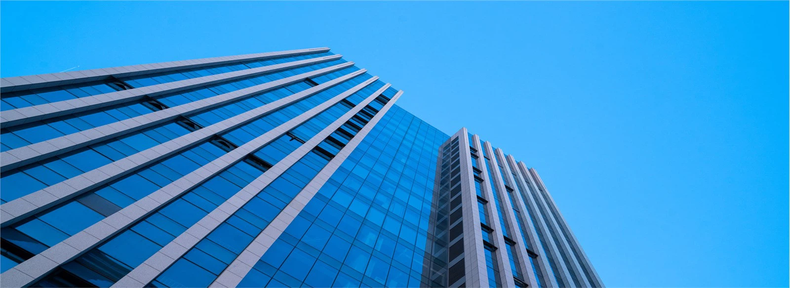 Shandong  Jingqin  Balení  Produkty  Co., Ltd
